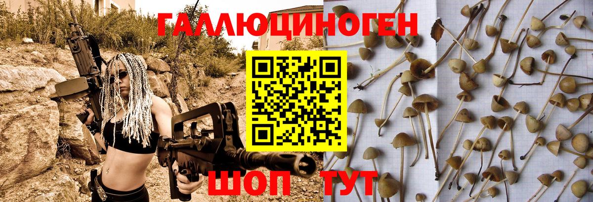 Псилоцибиновые грибы Psilocybine cubensis  Галлюциногенные грибы Cubensis  Ялуторовск  магазин продажи   Вход с VPN 